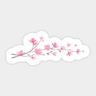 Cherry Blossom – Single Branch White Sticker